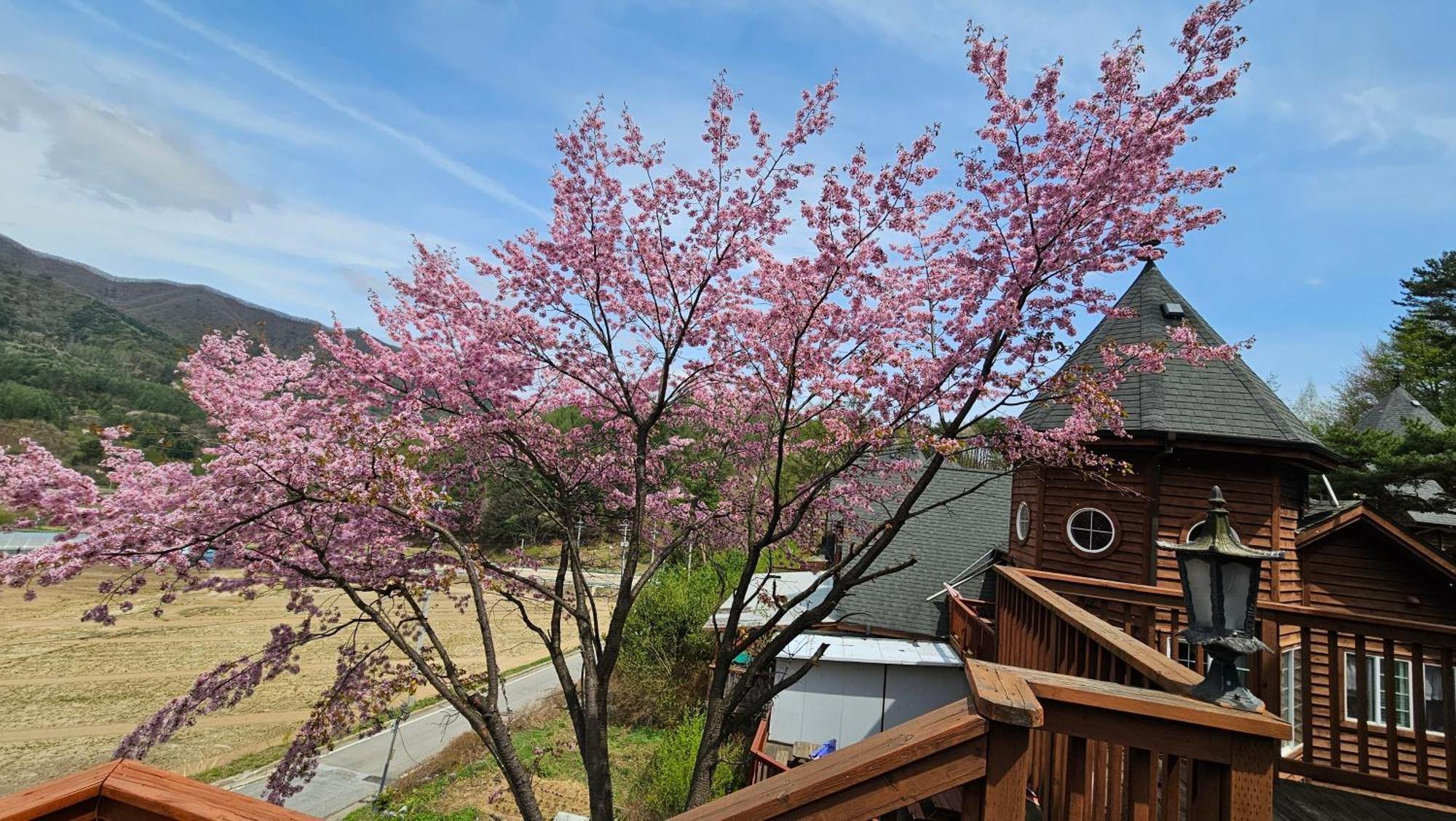 Elf Resort Hotel Pjongczang Zewnętrze zdjęcie